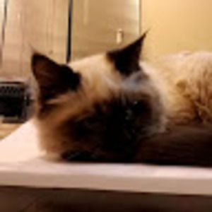 Meet your Posher, Mae